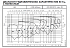 NSCC 32-200/55/P25VCS4 - График насоса NSC, 4 полюса, 2990 об., 50 гц - картинка 3